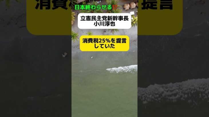 【絶望】立憲民主党新幹事長、小川淳也「消費税25％」を提言 #shorts