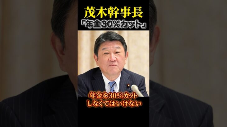 【怒り】自民党・茂木さん「消費税は社会保険の財源、減税したら年金30％カットが必要」←ヤバくない#shorts #日本 #年金 #税金