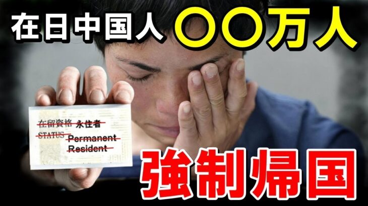 【海外の反応】日本在住の税金未納中国人〇〇万人に帰国命令！中国人「ヤダ‼︎帰らん‼︎」【世界のJAPAN】再 他1本