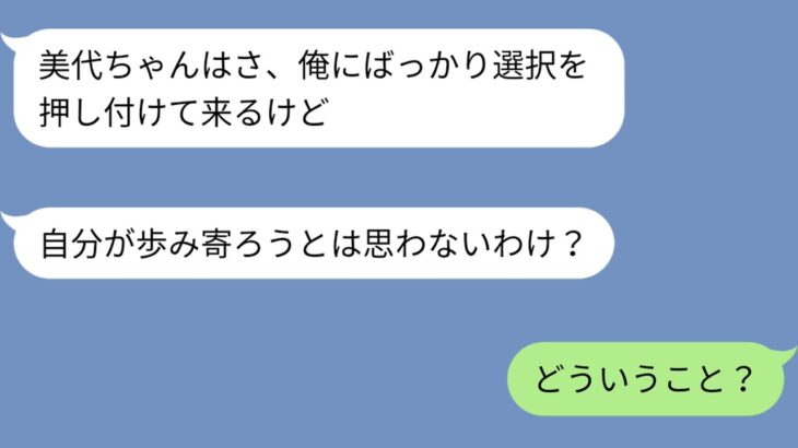 【LINE】結婚してすぐ夫が税金を滞納していたことが発覚。私の貯金で肩代わりし、節約の日々。その後も夫は勝手に転職→そのせいで私との時間が合わず、夫「そっちも転職したら？」もう我慢も限界なんだが。