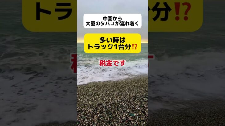 【税金】九州の海岸に中国のタバコが大量に流れ着く #shorts