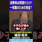 【福田昭夫】消費税は問題だらけ！一体誰のための税金？【国会中継】 #国会中継 #財務省 #自民党