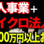 【知らない人多すぎ・・・】個人事業とマイクロ法人の両方を持って1200万以上節税する方法について税理士が解説します