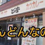 どん亭・野生化熱帯魚(グッピー)・運転手・税金のお話です【ゴリの飼育日記Ｎｏ.172】