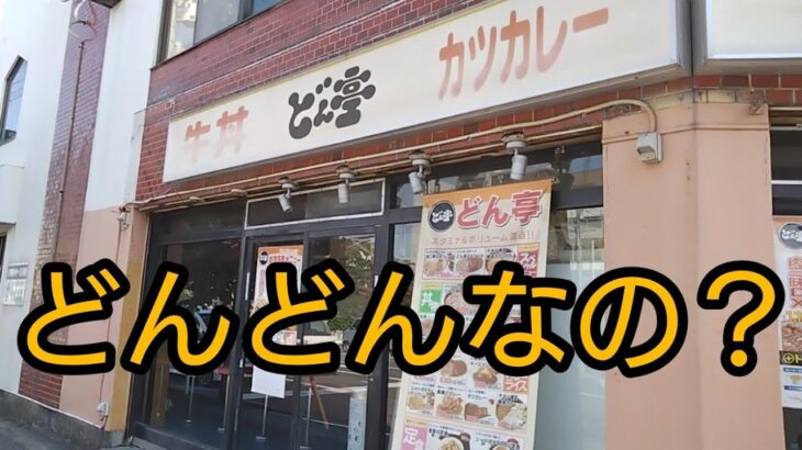 どん亭・野生化熱帯魚(グッピー)・運転手・税金のお話です【ゴリの飼育日記Ｎｏ.172】