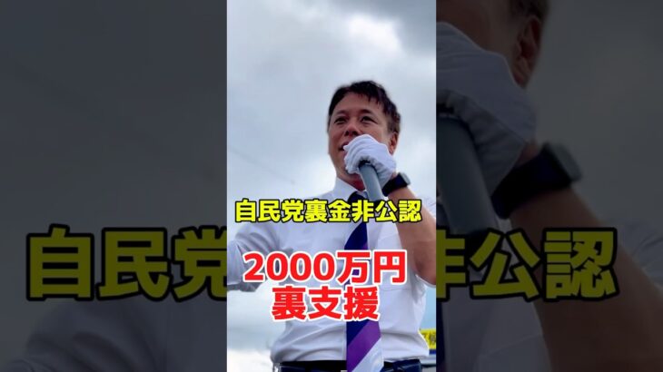 自民党裏金非公認候補に国民の税金が原資の政党助成金から2000万円支給❗️ #政治　#衆院選　#比例は日本共産党 #千葉市 #市原市　#かばさわ洋平