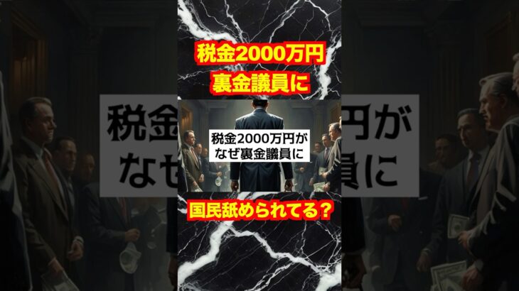 【自民党】税金2000万円が裏金議員に？暴動が起きないのが不思議レベル！#shotrs