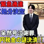 「税金を何だと」「3400万円おかしいよ」