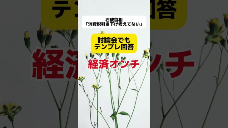 【テンプレ】石破首相「消費税引き下げは考えてない」  #shorts