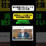 【消費税減税】誰が総理大臣になっても一緒だと分かる画  #shorts