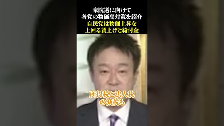 衆院選に向けて各党の物価高対策を紹介！自民党は物価上昇を上回る賃上げと給付金