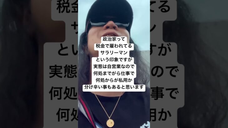 政治家って税金で雇われてるサラリーマンという印象ですが実態は自営業なので何処までがら仕事で何処からが私用か分け辛い事もあると思います