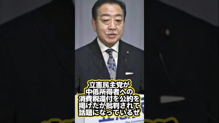 【ゆっくり政治解説】立憲民主党の掲げる消費税還付の公約がダメダメでやばすぎる　#玉木雄一郎 #石破茂 #ゆっくり解説