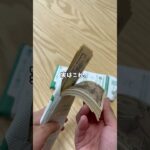 毎年これでもかってくらい税金納めてるけどさ、その税金を裏金とかわけわかんねえものに使われてるって思うと腹立つよな💢#税金 #裏金政治 #政治 #政治家 #日常 #日常vlog #毎日投稿