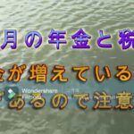 10月の年金と税金　年金が減った！