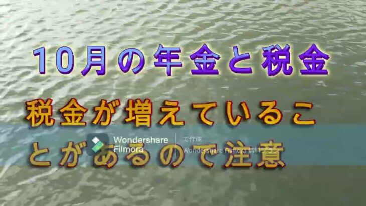 10月の年金と税金　年金が減った！