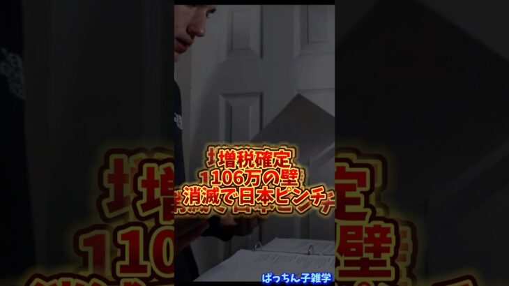 【真実】103万の壁消滅でまたも裏金⁉️ #雑学 #税金 #103万の壁