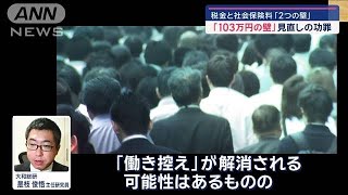 「103万円の壁」見直しの功罪… 税金と社会保険料“2つの壁”とは【スーパーJチャンネル】(2024年11月2日)