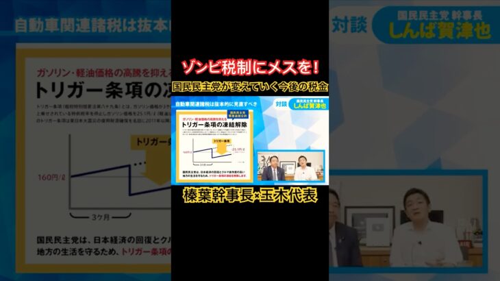 国民民主党が変えていく！今後の税金の在り方　#国民民主党 #玉木雄一郎 #103万円の壁 #榛葉賀津也 #shorts  #トリガー条項