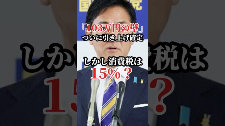 【玉木雄一郎】103万の壁引き上げ合意！しかし消費税は15%に…？#玉木雄一郎 #石破茂 #財務省