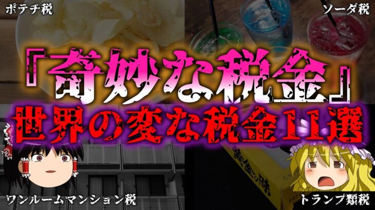 【ゆっくり解説】『税金摂取！！』ポテチ税に独身税まで！？世界の変な『税金』11選『闇学』