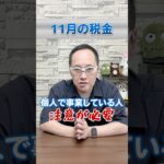 【11月の税金】令和6年(2024年)版　頭の整理！ #所得税 #個人事業税