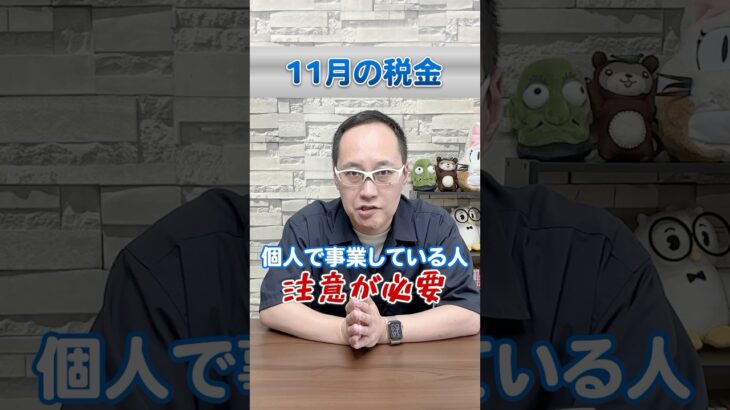 【11月の税金】令和6年(2024年)版　頭の整理！ #所得税 #個人事業税