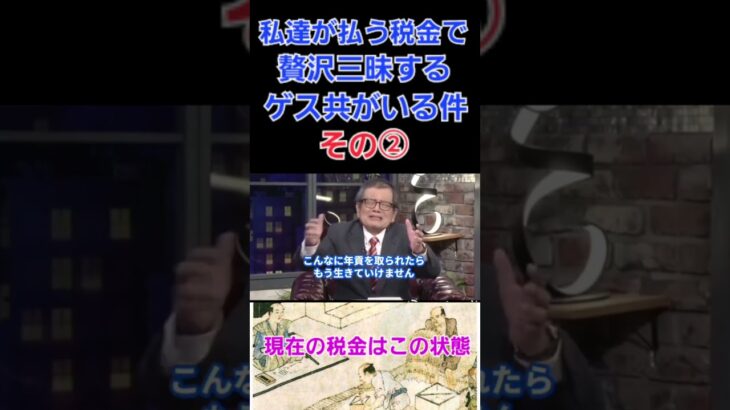 私達が払う税金で贅沢三昧するゲス共がいる件について(その2) 　財務省は消費税は減税せず増税方針,インボイス,子育て支援税、ガソリン税,森林環境税,所得税等も減税の意思なし　#財務省 #天下り #税金