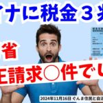 マイナに税金３兆円 厚労省「保険証の不正請求○件でした」 2024年11月16日ぐんま住民と自治研究所 総会記念講演 #マイナ保険証