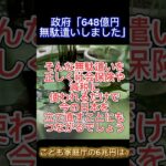 【684億円税金を無駄にしました】もっと他にもあるだろうという国民の怒り爆発#税金#税金の無駄 #税金の無駄遣い #こども家庭庁 #生活保護#sdgs