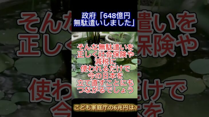 【684億円税金を無駄にしました】もっと他にもあるだろうという国民の怒り爆発#税金#税金の無駄 #税金の無駄遣い #こども家庭庁 #生活保護#sdgs