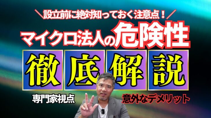 【警告！】マイクロ法人のリスクを解説！安易な設立は危険です。【節税スキーム】