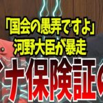 【マイナ保険証の闇】また税金を無駄にする気か。勝手に保険証廃止にした大臣に怒りの追及！【国会中継】【福島瑞穂】