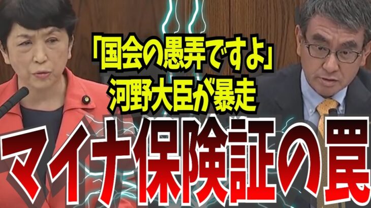 【マイナ保険証の闇】また税金を無駄にする気か。勝手に保険証廃止にした大臣に怒りの追及！【国会中継】【福島瑞穂】