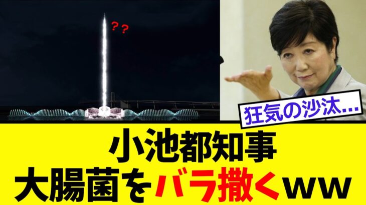 【衝撃】小池都知事、税金を盛大に溶かして都民から苦情殺到ｗｗ