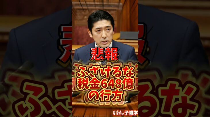 【悲報】国民の税金闇に消える #雑学 #税金