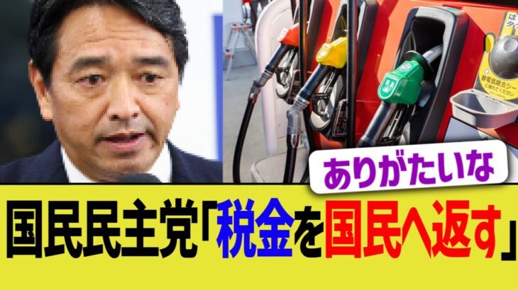 国民民主党「税金を国民へ返す」