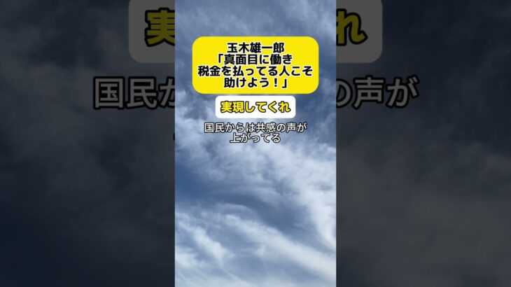 【共感】玉木雄一郎｢まじめに働いて税金を払っている人たちのことをもっと大切に、税金を払っている人こそ助けよう！｣ #時事 #玉木雄一郎