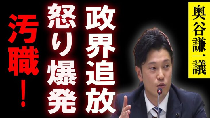 【怒り爆発】奥谷謙一議員の税金私的流用疑惑で国民激震！百条委員会の腐敗構造とは？