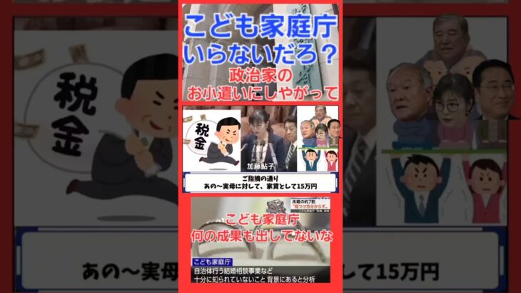 何の成果も出せないこども家庭庁も子育て支援税もいらんわ！早く廃止しろ！政治家のお小遣いにするな！こんなのの為に私達から社会保障とか消費税増税とかされたら叶わんわ！どうなん財務省？ザイム真理教もいらん！