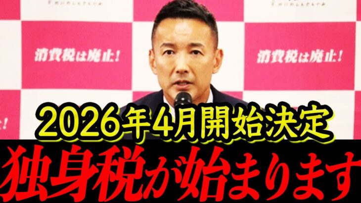 【岸田の置き土産】独身税が始まります。独身じゃない方も対象になり手取りが減る人続出確定です！【れいわ新選組 日本 国会 中国 消費税 インボイス 自民党 選挙 】