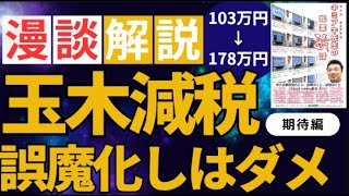 【消費税マジいらね】働く人の手取りを増やす本当の減税を！【玉木減税の闇】