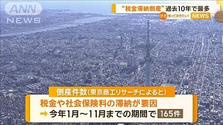 「税金滞納倒産」過去10年で最多【知っておきたい！】【グッド！モーニング】(2024年12月9日)