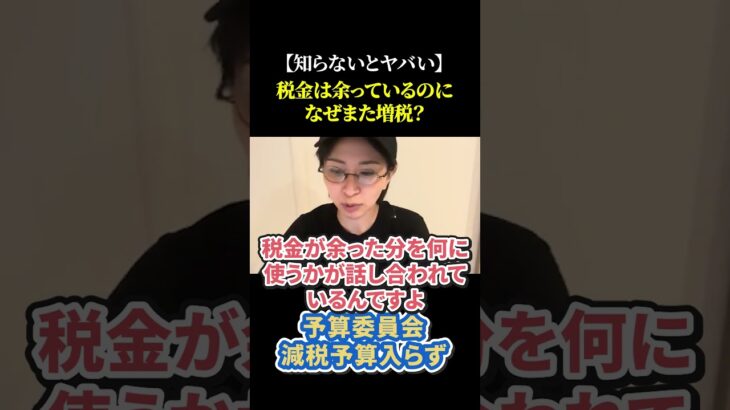 【知らないとヤバい】税金は余っているのに なぜまた増税？#増税 ＃財務省 #自民党 #国民民主党 #103万円の壁 #政府