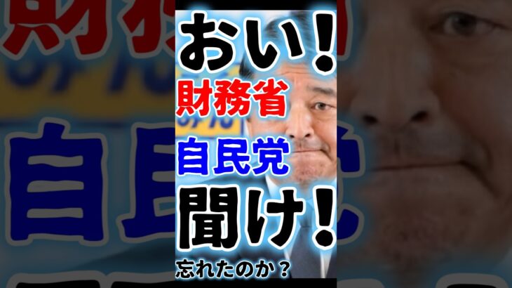 【国民民主党】有権者を馬鹿にするな！取りすぎた税金を返せ！103万円の壁、ガソリン税は先送り？