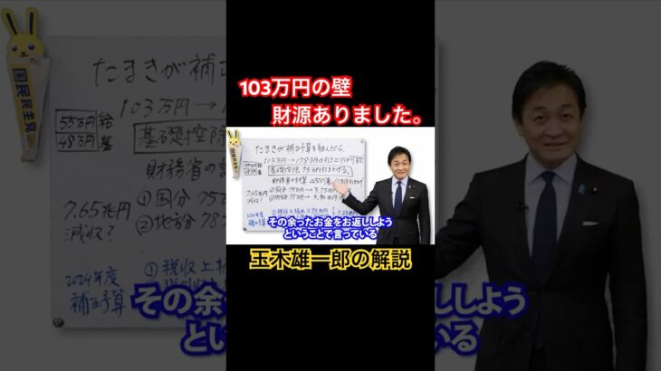 取りすぎた税金は返してください。 #国民民主党 #玉木雄一郎 #103万円の壁 #shorts #tax #財務省