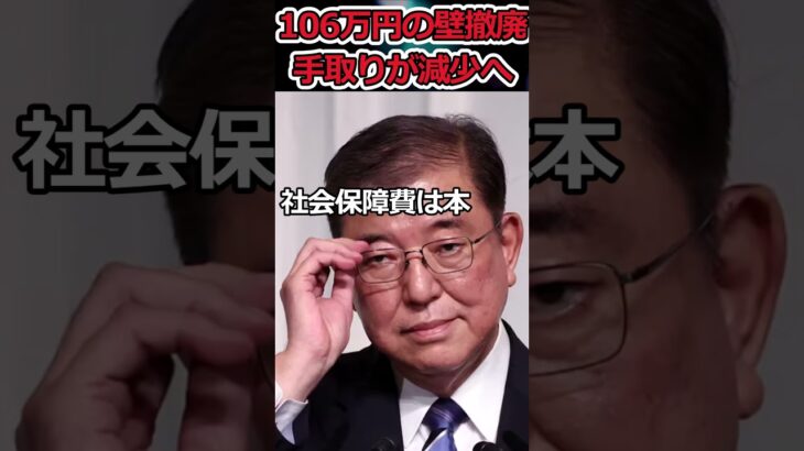 106万円の壁撤廃!?→実質増税へ #shorts #自民党 #社会保険 #税金 #twitter #youtubeshorts