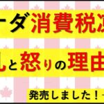 12.23 消費税凍結で大混乱の理由