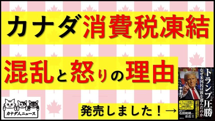 12.23 消費税凍結で大混乱の理由