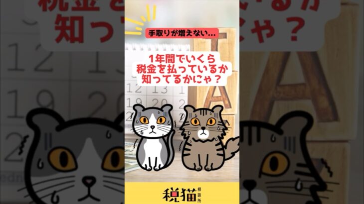 【税猫相談所】1年間でいくら税金を支払っているか知ってるかにゃ？　#shorts #税金